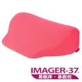 IMAGER-37 舒壓雙背墊(二色可選) 歷史價格詳細信息