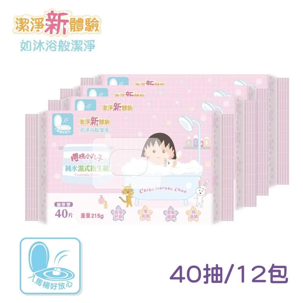 櫻桃小丸子純水濕式衛生紙40抽x3包【愛買】 歷史價格詳細信息