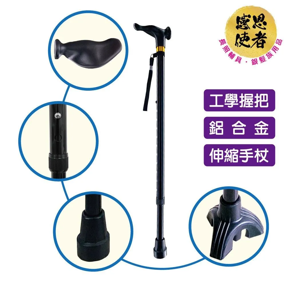 感恩使者 伸縮軌道式斜坡板 200cm 鋁合金 附防掉落側板 台灣製 [ZHTW1799-200] 歷史價格詳細信息