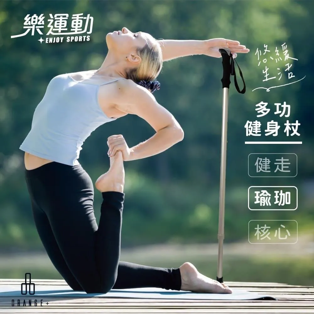 【悅康品家】多功能健身杖1入組 附替換腳墊-朱比特金色 歷史價格詳細信息