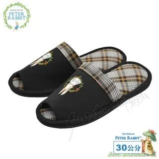 【PETER RABBIT 比得兔】比得兔環保飲料提袋 水壺袋/飲料袋/冰霸杯提袋）(2入組) 歷史價格詳細信息
