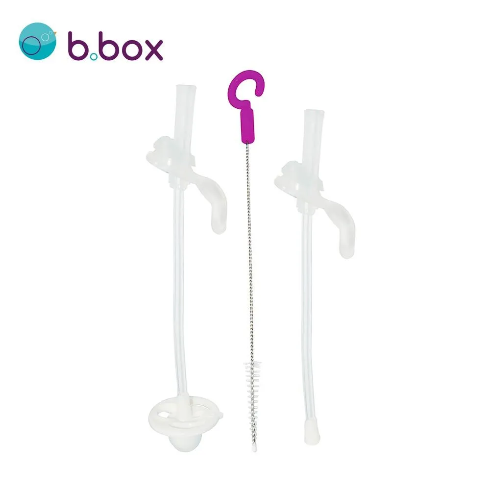 澳洲【B.BOX】升級版防漏學習水杯替換吸管2入+清潔刷 歷史價格詳細信息