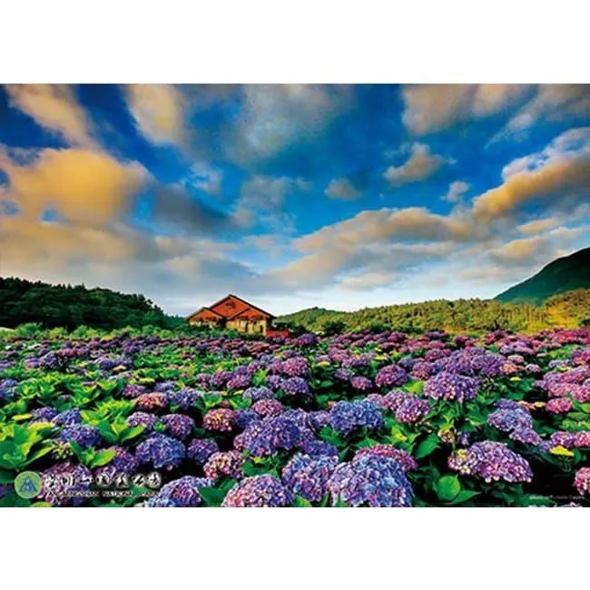 《台灣山林之美》ISBN:9576293383漢光文化阿騰哥二手書坊** 歷史價格詳細信息