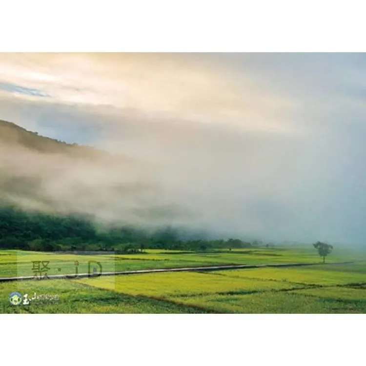 南安晨霧拼圖520片 歷史價格詳細信息