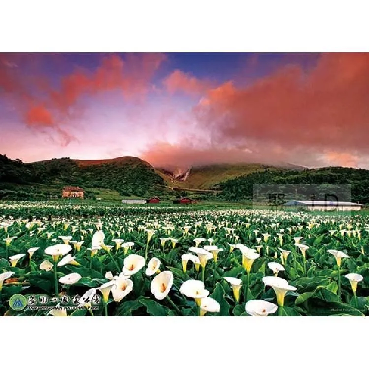 《台灣山林之美》ISBN:9576293383漢光文化阿騰哥二手書坊** 歷史價格詳細信息