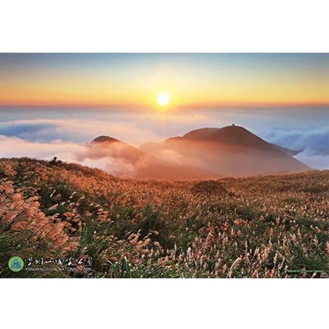 《台灣山林之美》ISBN:9576293383漢光文化阿騰哥二手書坊** 歷史價格詳細信息