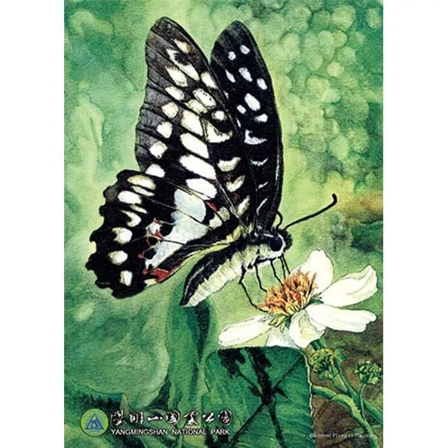 台製拼圖-陽明山國家公園-屯西峰與向天山和面天山 1000片 HPY01000-001 歷史價格詳細信息