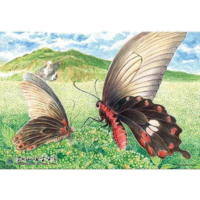 手的繪製訣竅：動畫導演・神志那弘志的人體部位插畫講座 歷史價格詳細信息