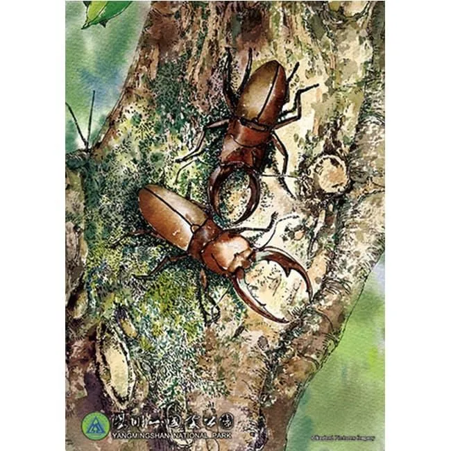 台製拼圖-陽明山國家公園-屯西峰與向天山和面天山 1000片 HPY01000-001 歷史價格詳細信息