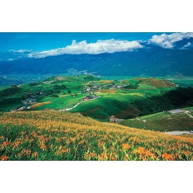 台灣之美1000片拼圖/台南-安平古堡 歷史價格詳細信息