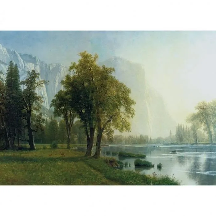 【台製拼圖】25-012 Iris色鉛筆創作 閱讀森林 彩虹樹屋 (520片) 歷史價格詳細信息