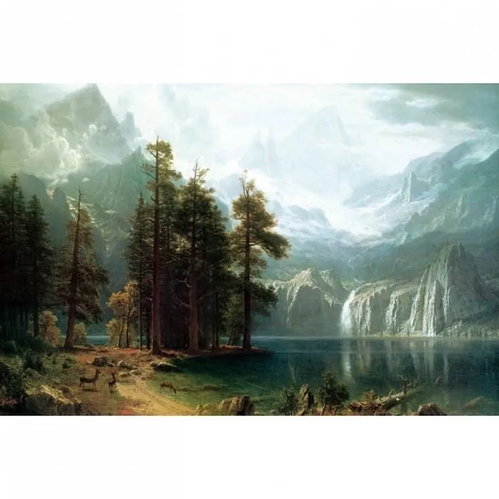 【P2 拼圖】風景系列 陽明山國家公園-繡球花海(520pcs) HPY0520-012 歷史價格詳細信息