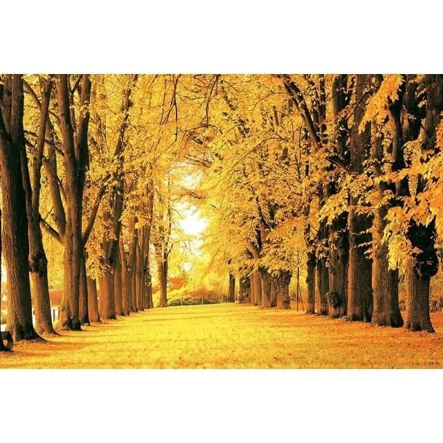 【台製拼圖】HM100-275 水果籃 (1000片) 歷史價格詳細信息