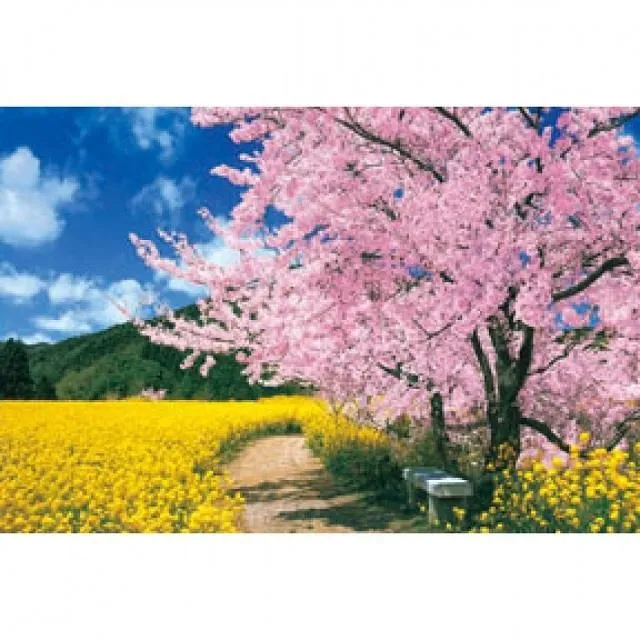 【P2台製拼圖】迪士尼公主拼圖 Disney Princess系列-108片盒裝5入組(款式隨機) 歷史價格詳細信息