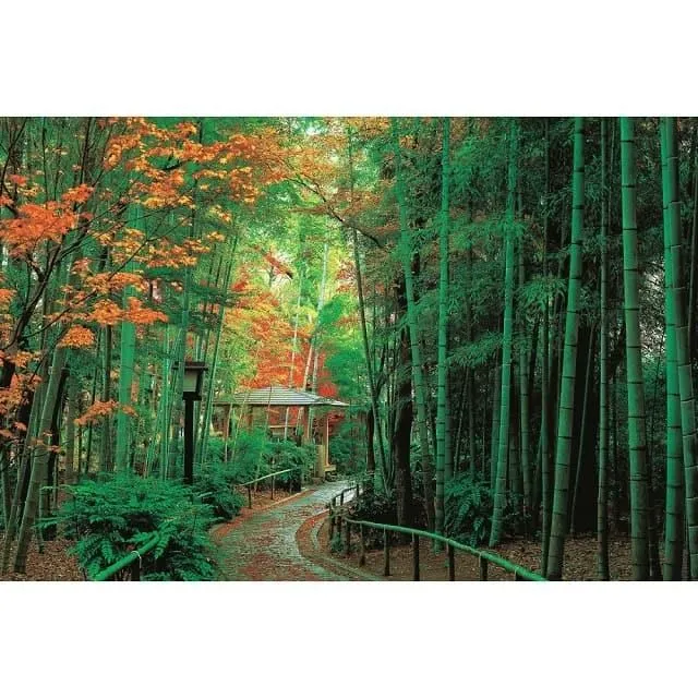 【P2台製拼圖】迪士尼公主拼圖 Disney Princess系列-108片盒裝5入組(款式隨機) 歷史價格詳細信息