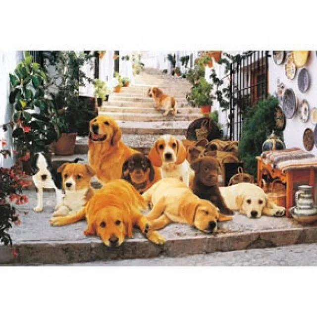 【台製拼圖】HM100-275 水果籃 (1000片) 歷史價格詳細信息