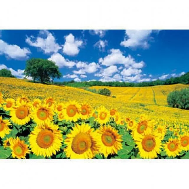 【台製拼圖】HM100-275 水果籃 (1000片) 歷史價格詳細信息