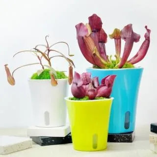 方形可視激光JR31-20N光電開關傳感器定位電眼紅外線常開DC24V調【正品质保】 歷史價格詳細信息