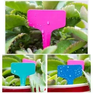 N0780 【東京熱】中文 / 飯岡かなこ 初アナル!藤原遼子2穴壊姦 歷史價格詳細信息