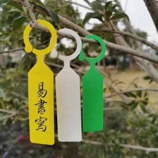 N0741 【東京熱】中文 / 大倉彩音 友ちんコ・キモ汁中出し 歷史價格詳細信息