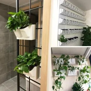 N137 Switch NS游戲 天使之翼決定版帕瓦魯米 pawarumi 歷史價格詳細信息