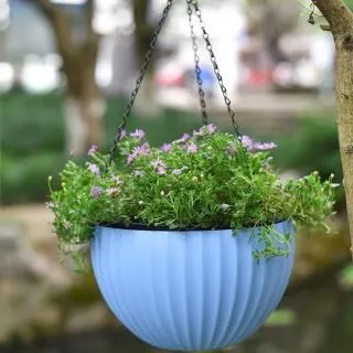 N1352 台灣山海戀 蔡文居著 華杏出版 2006 歷史價格詳細信息