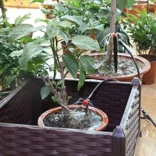 滴紅豆80ml*5包 歷史價格詳細信息