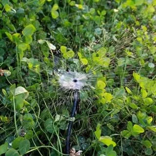 【珍愛頌】N233 蘑菇地插噴頭套餐 10米套裝 歷史價格詳細信息