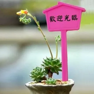 N0737 【東京熱】中文 / 永沢まおみ東熱ガチ汁30葬 歷史價格詳細信息