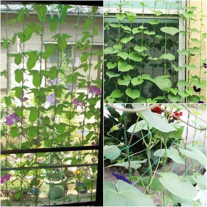 爬網鞦韆滑梯組合幼兒園趣味多功能攀爬鞦韆架庭院小區戶外鞦韆 歷史價格詳細信息