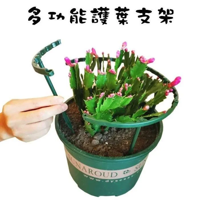 花盆支架托架萬向底座方形移動托盤帶萬向輪不銹鋼底盤帶輪子花架~爆款優惠價 歷史價格詳細信息