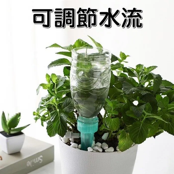 珍愛人生DVD 嘉柏莉西迪貝 莫妮克 Precious 台灣正版全新 歷史價格詳細信息