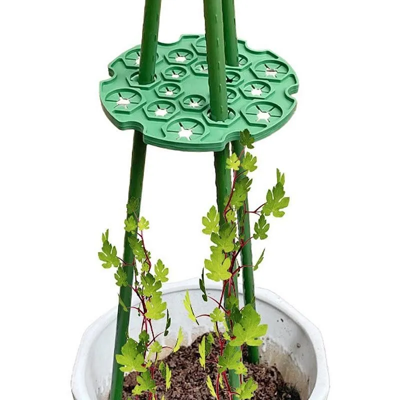 【珍愛頌】N449 包塑鋼管圓盤 5入 價格比較,價格查詢,歷史價格詳細信息