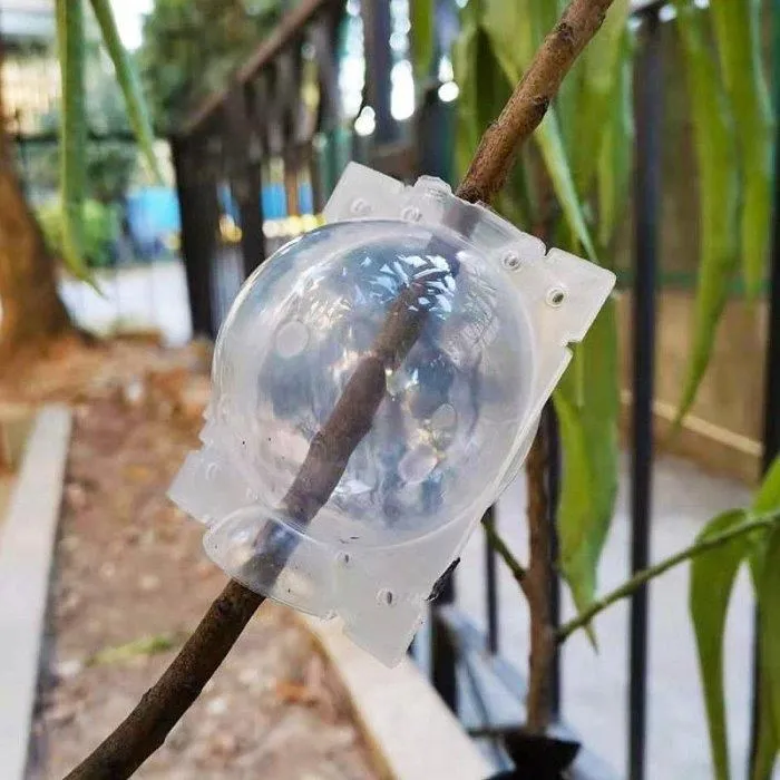 生根劑   生根  生根壯苗發根劑果樹沖施肥植物通用花卉移栽樹木扦插快速生根竹 歷史價格詳細信息