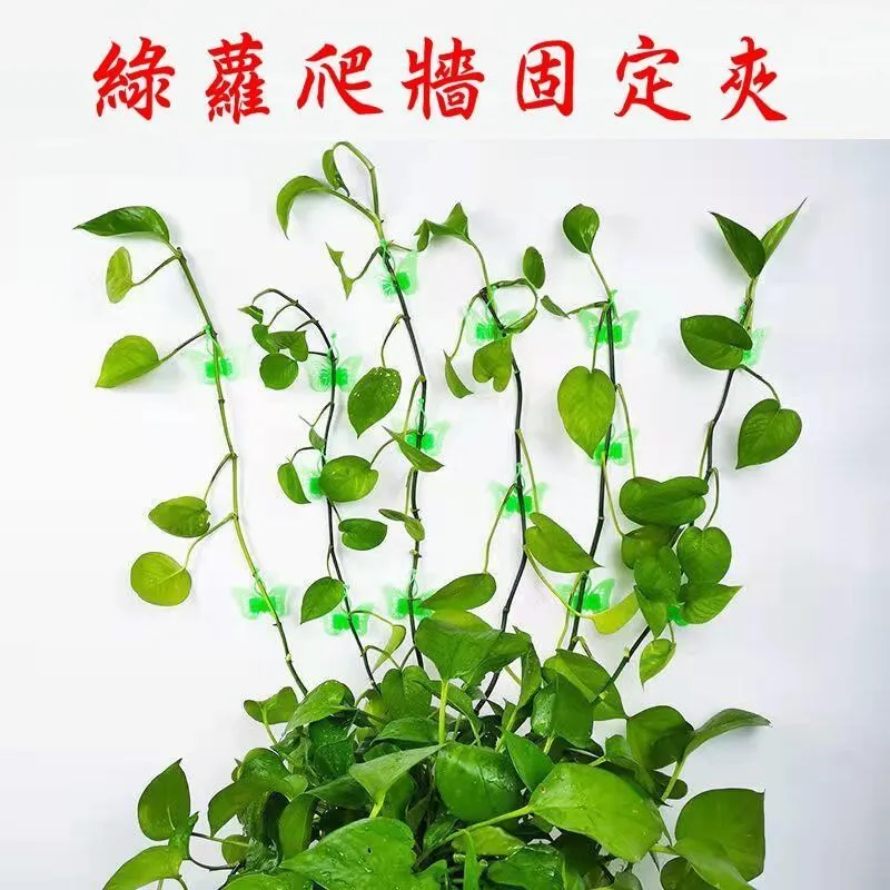 N0273 【東京熱TokyoHot】 渡瀨成美 高慢令嬢天罰精液大注入 歷史價格詳細信息