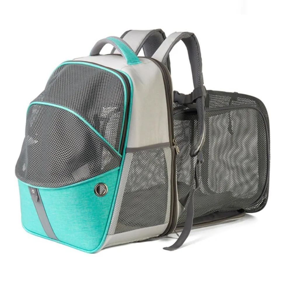 亞馬遜賣寵物橡膠TPR網球耐咬磨狗玩具寵物用品陪伴互動 歷史價格詳細信息