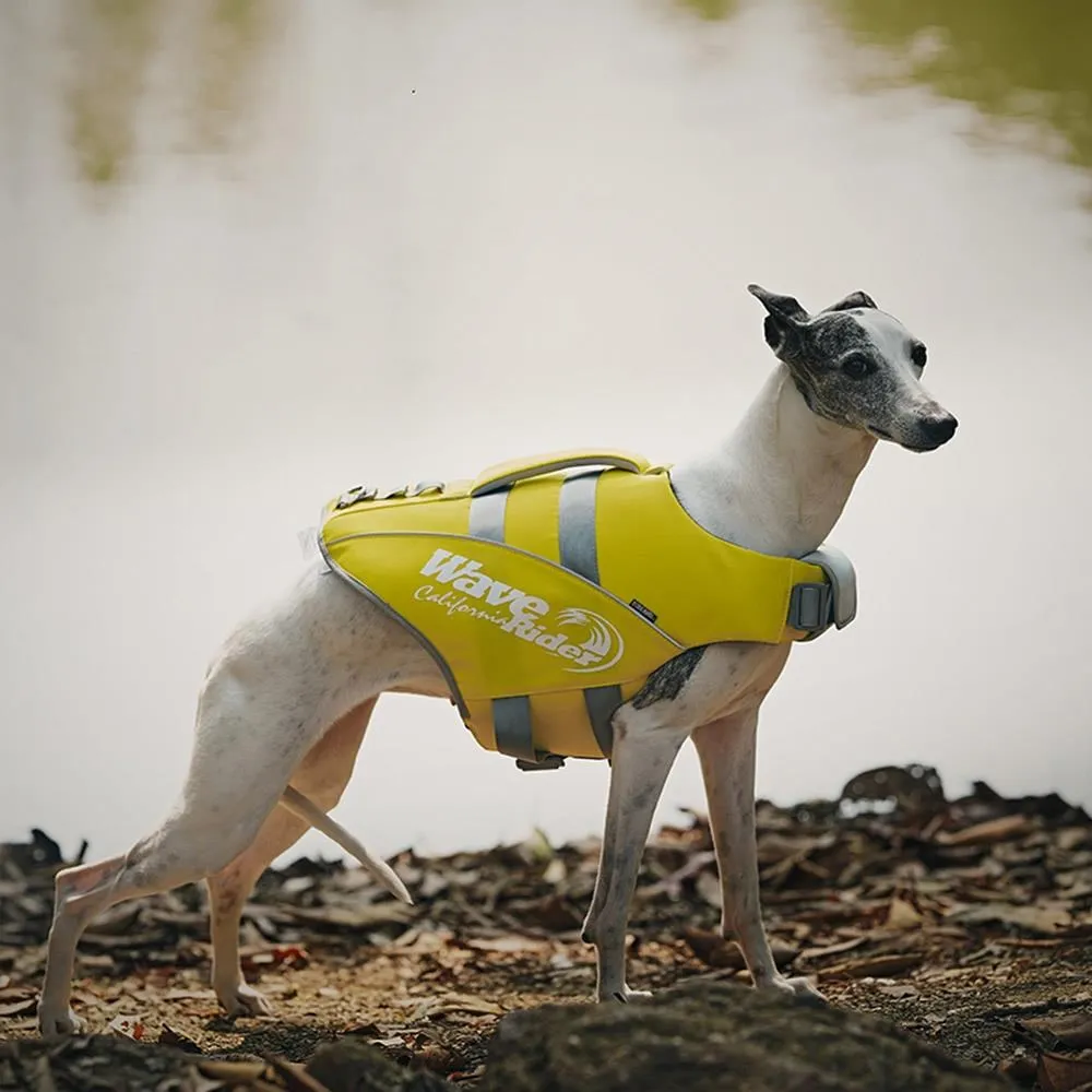ZOOLAND寵物狗狗撿屎袋加厚可降解拾糞便器貓砂鏟屎垃圾袋一次性 歷史價格詳細信息