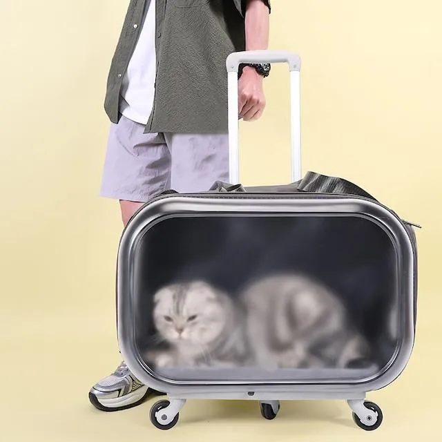 寵物貓咪外出拉桿包高顏值新款便攜狗拉桿箱小推車大容量雙肩貓包 歷史價格詳細信息