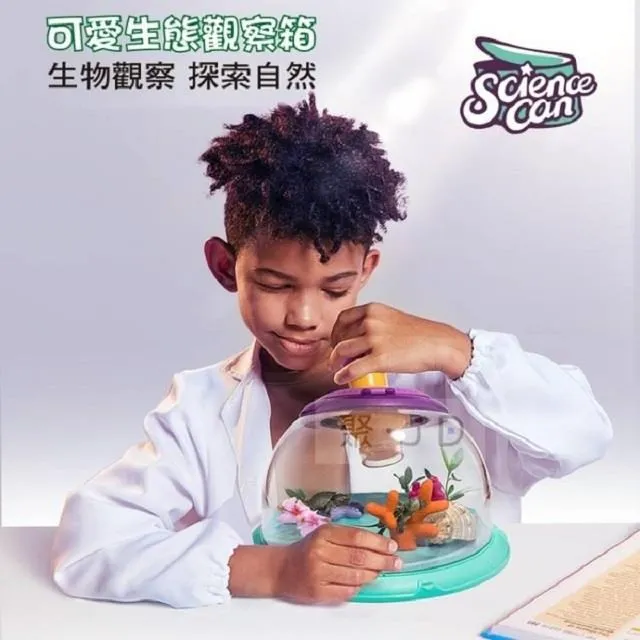 可愛生蠔抱枕毛絨玩具超軟牡蠣寶寶玩偶女生午睡大佈娃娃兒童禮物生日禮物交換禮毛絨玩偶安撫娃娃靠枕靠墊沙發抱枕車載 歷史價格詳細信息