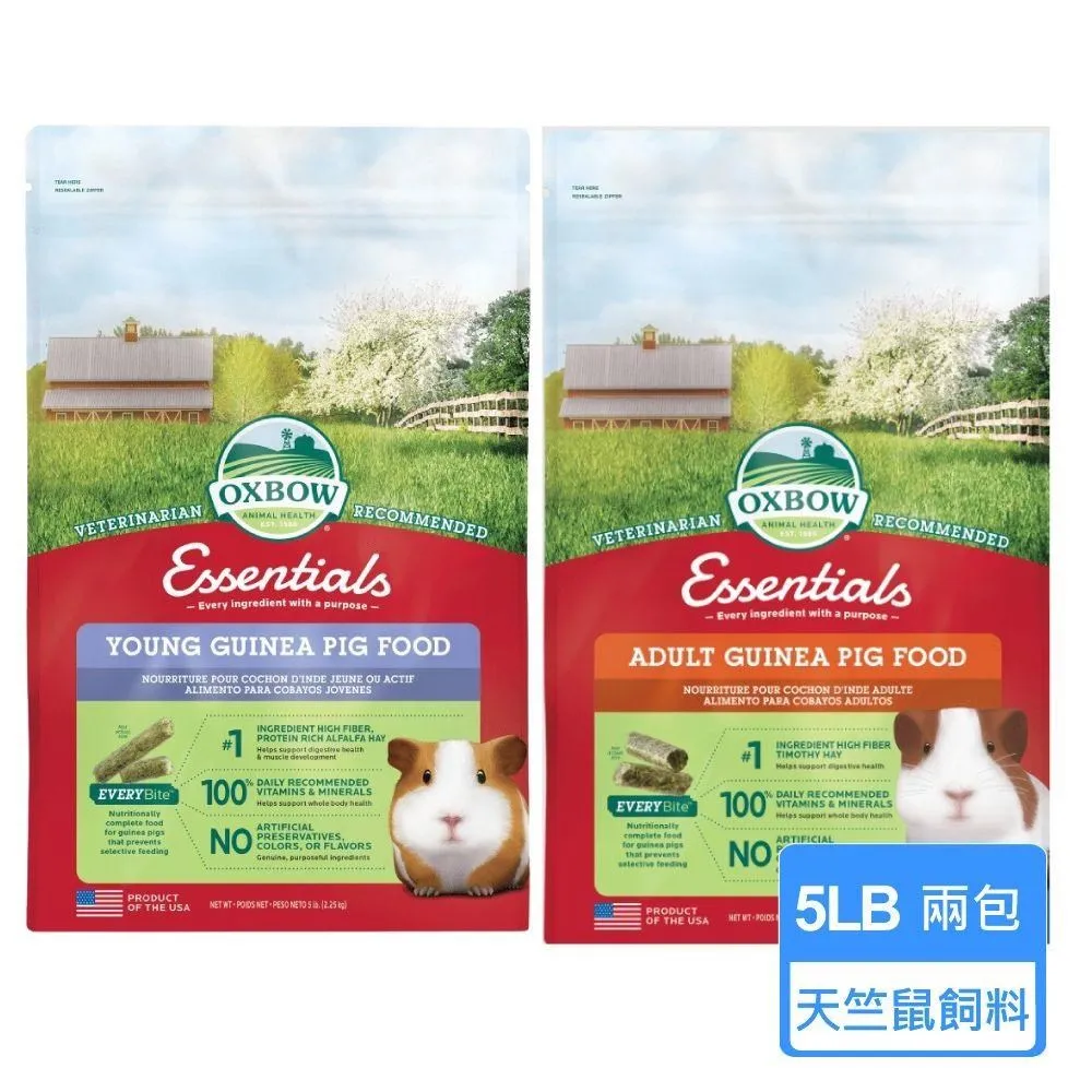 5 Lb Pounds Destash Junk Jewelry Supply Vintage New Pieces Parts Unsearched Lot 歷史價格詳細信息