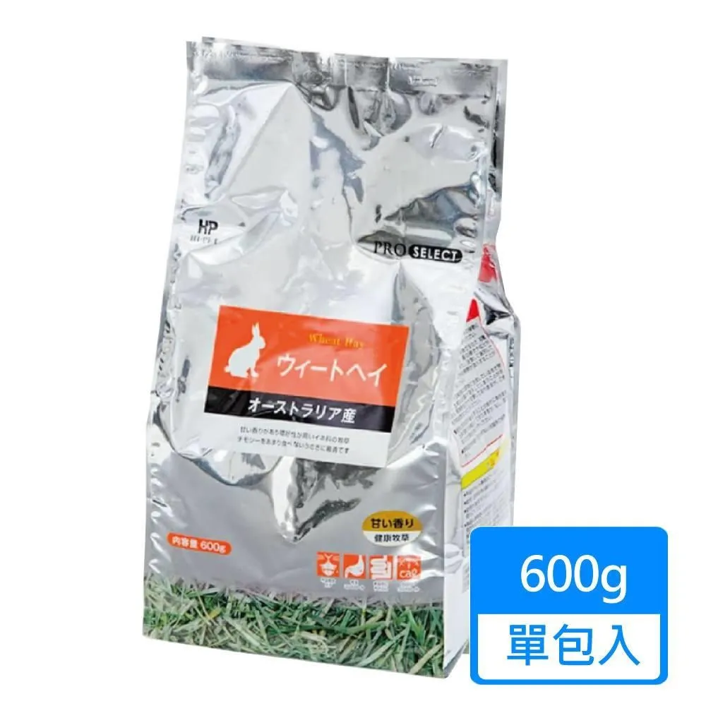 ProSelect專選靜音籃球7號球 無聲籃球5號園海綿拍拍球 歷史價格詳細信息