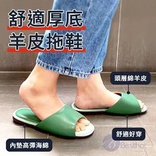 Besthot 8-10人戶外抗雨遮陽大型黑膠天幕-附收納袋 客廳帳 炊事帳 歷史價格詳細信息