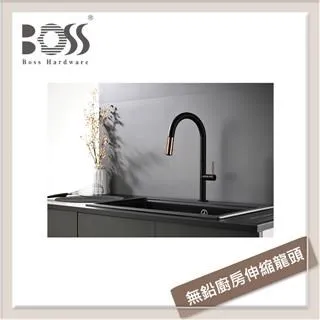 【BOSS】無鉛廚房伸縮龍頭MNA-010212(無安裝) 歷史價格詳細信息