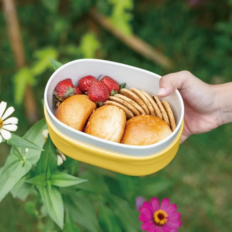 【SWANZ 天鵝瓷】芯動便當盒PLUS 650ml 分隔(共8色) 歷史價格詳細信息