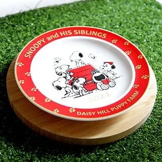 2021年Snoopy紅包袋五入裝- Norns 燙金 創意禮品袋 史努比 春節過年禮金 歷史價格詳細信息