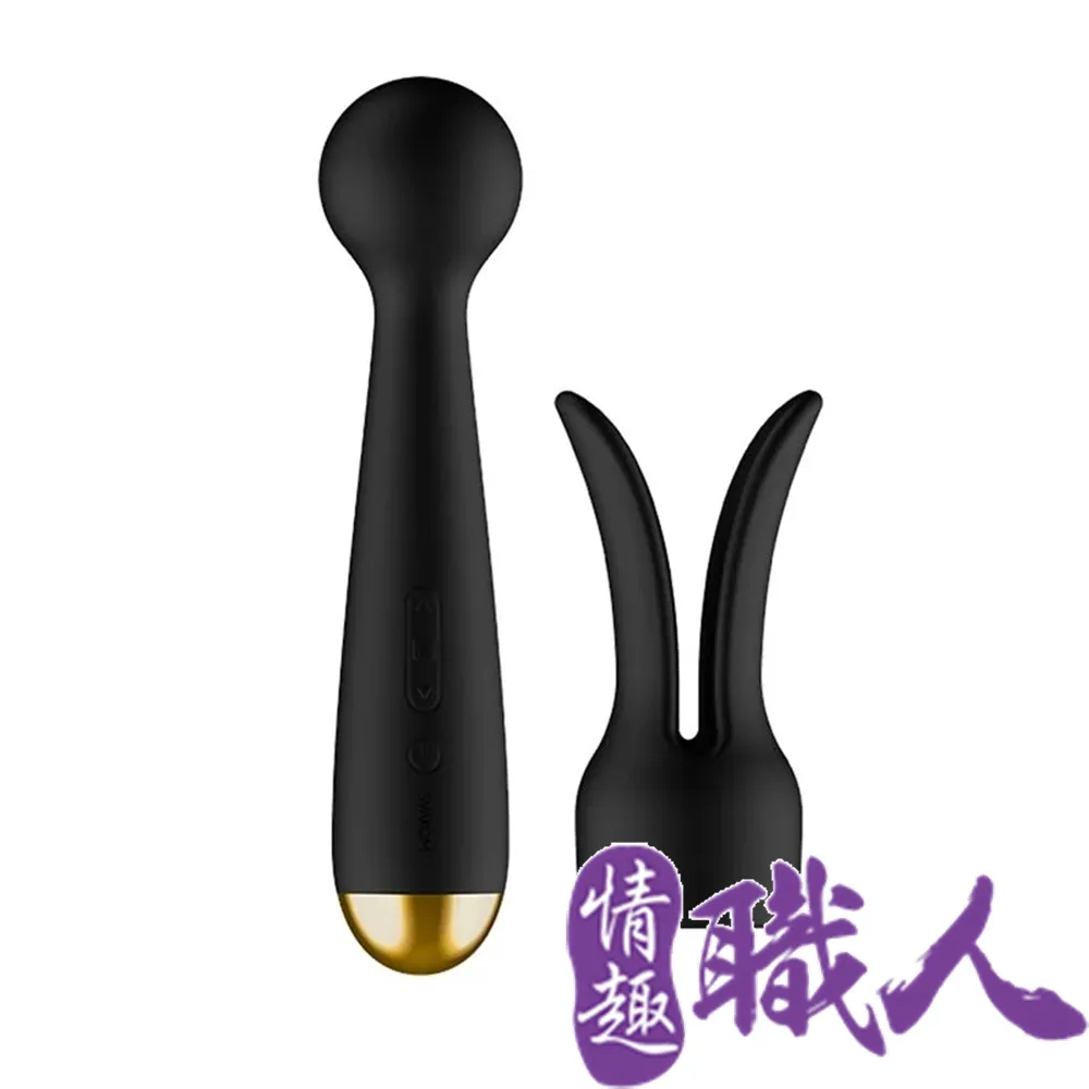 Svakom Emma Neo 手機智能發熱震動棒 黑色 按摩棒.情趣用品.AV棒 歷史價格詳細信息