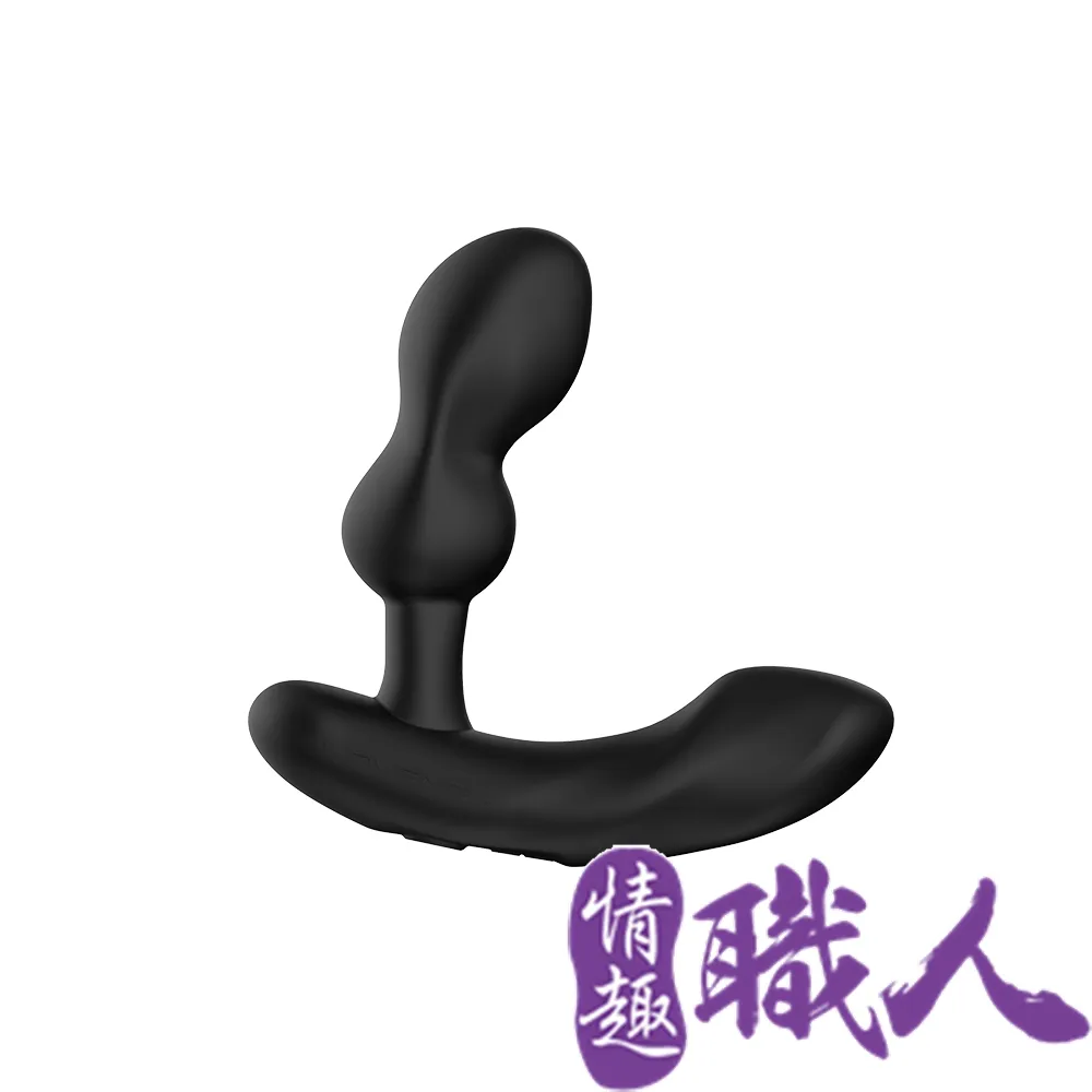 Lovense Edge2 智能前列腺按摩器肛塞 可跨國遙控 情趣用品 歷史價格詳細信息