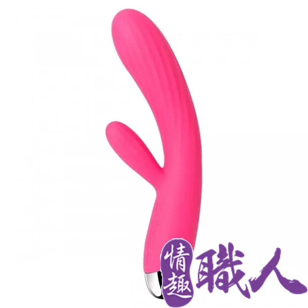 SVAKOM Angel 雙震 加熱 變頻 按摩棒 歷史價格詳細信息