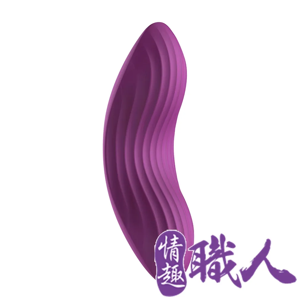 美國SVAKOM EDENY 按摩震動器 紫色 附專用蕾絲內褲 成人玩具 情趣用品 情趣精品 穿戴跳蛋 歷史價格詳細信息
