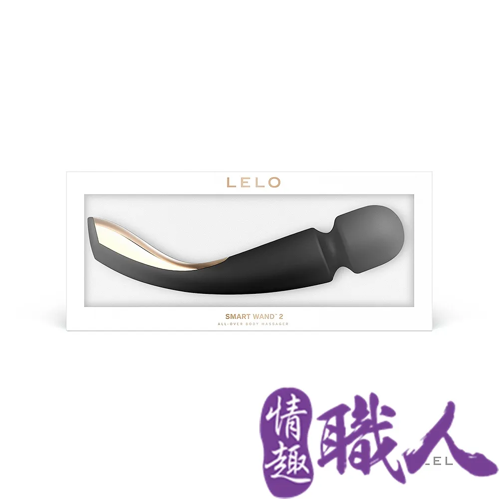 瑞典LELO-SMART WANDS 智能按摩棒-黑 歷史價格詳細信息